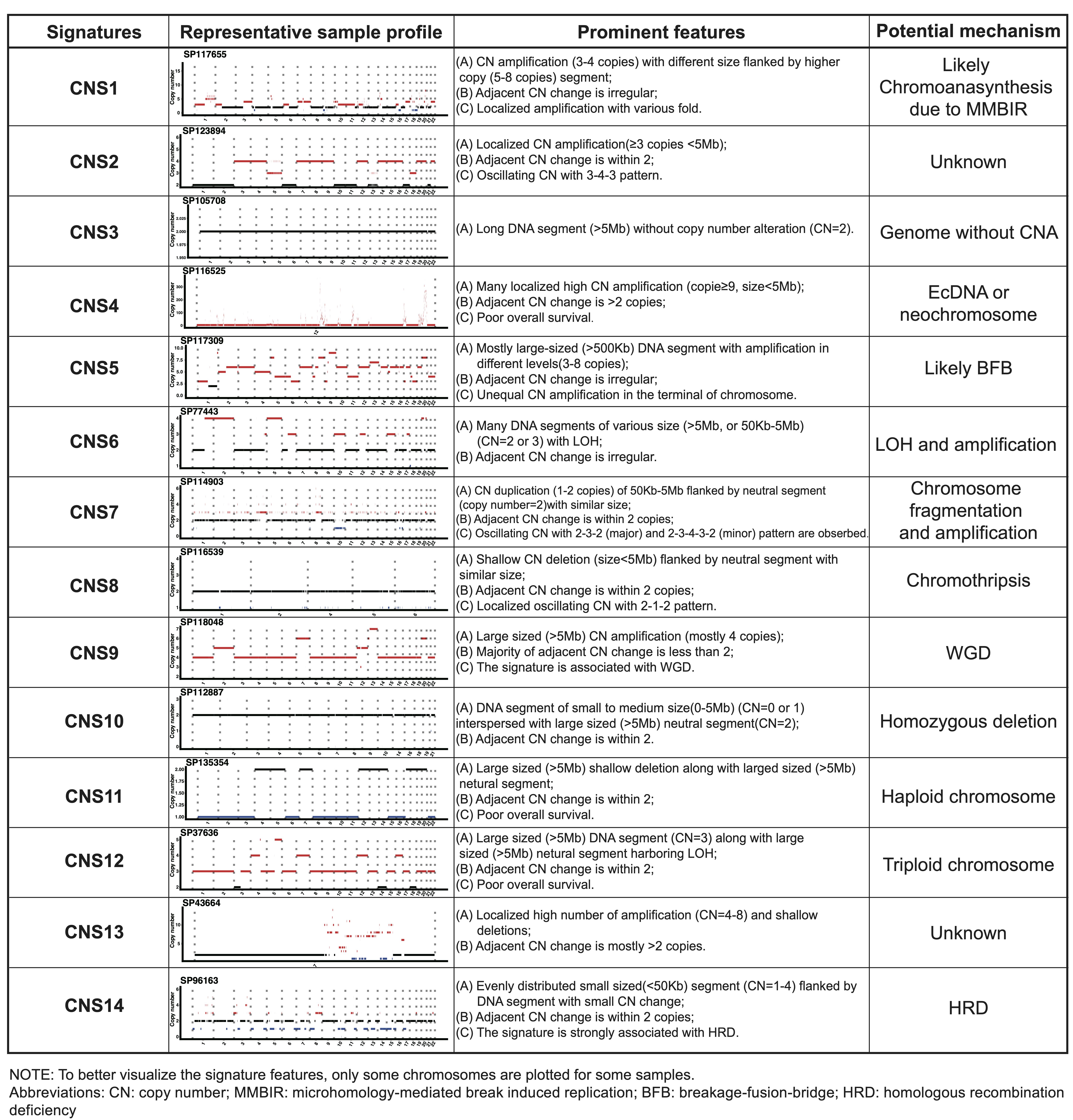 Representative CNA profile, prominent features and potential mechanisms for each identified CNA signatures extracted in PCAWG dataset.