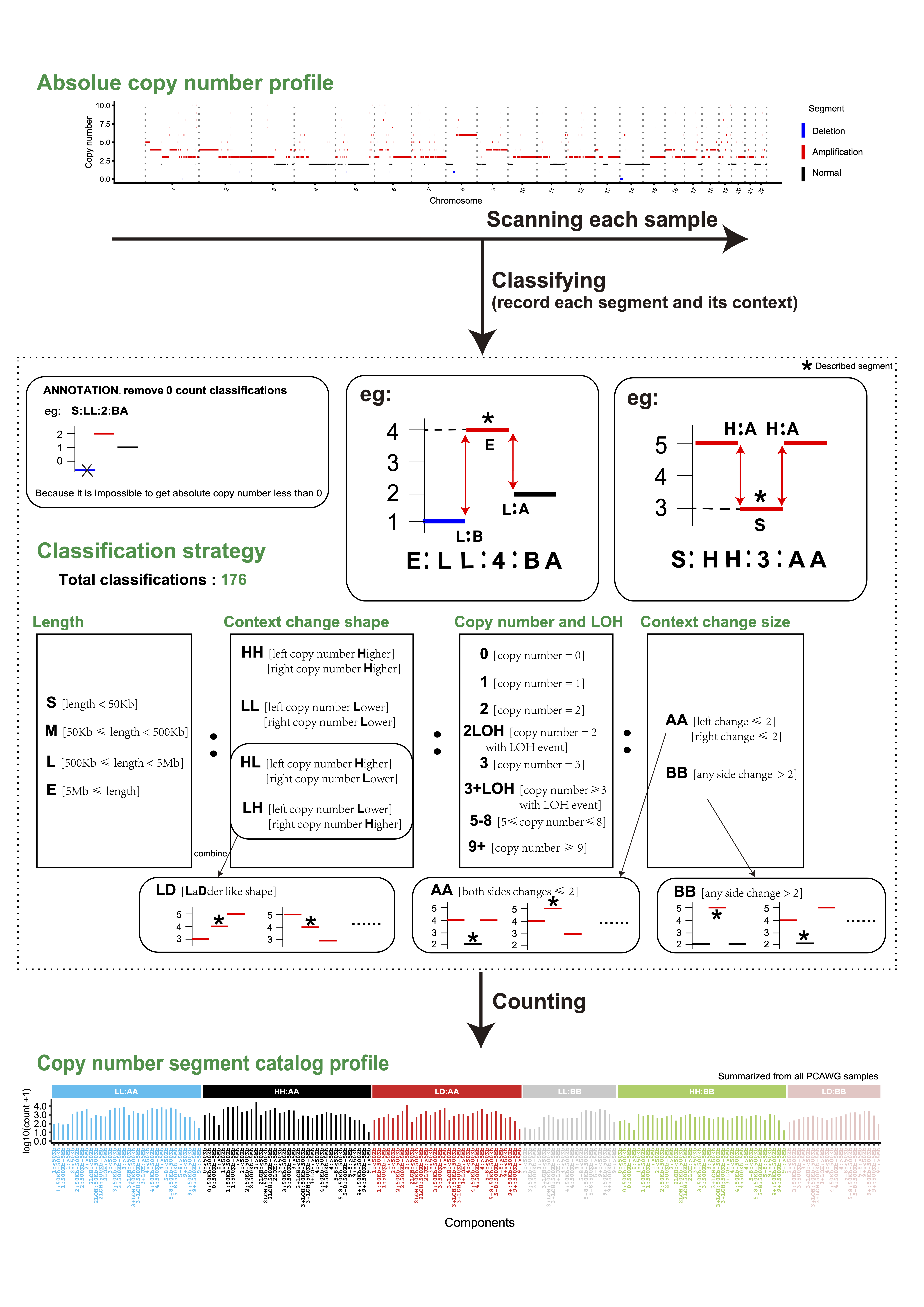 CNA classification strategy for signature analysis.