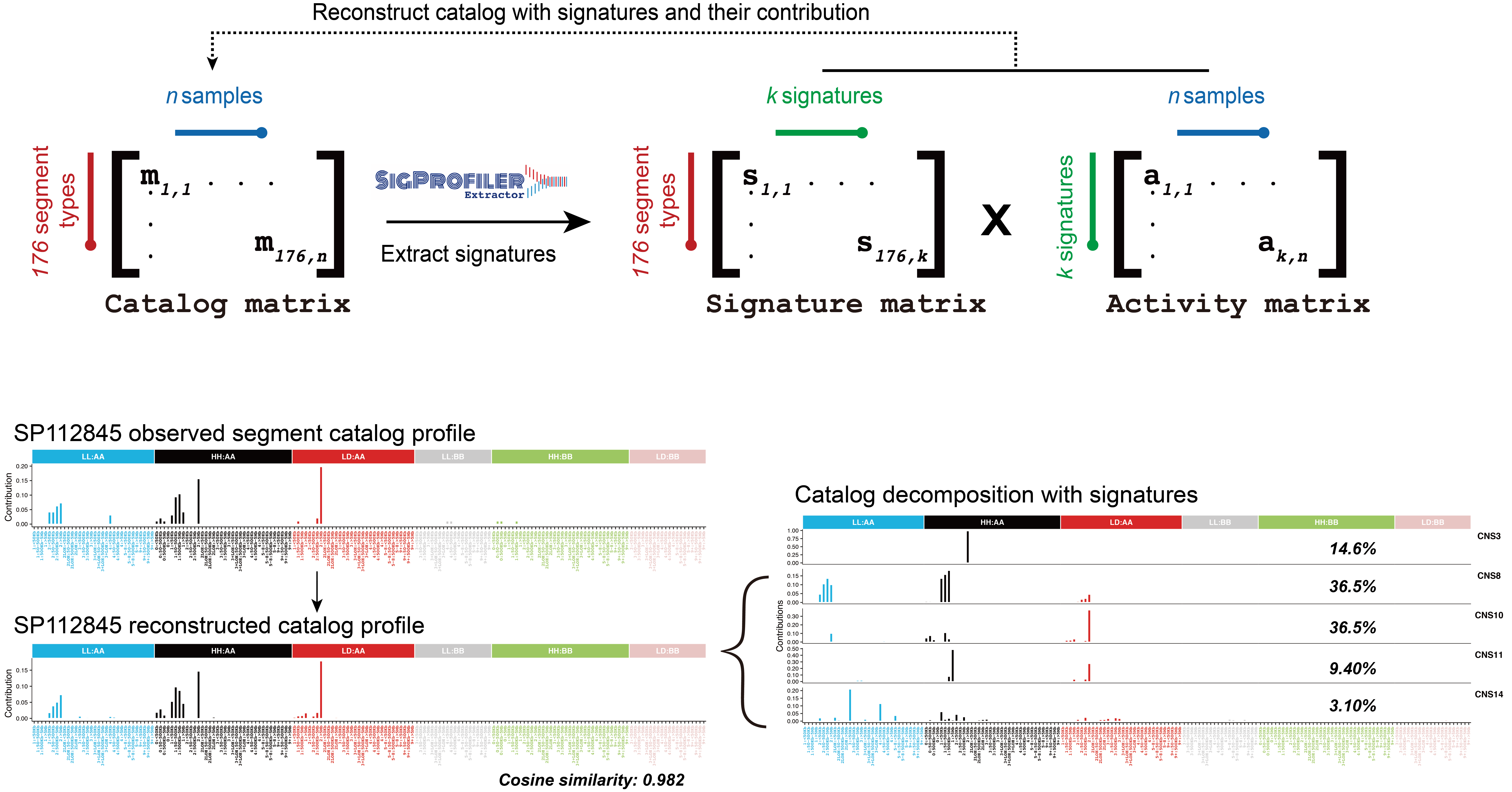 De novo CNA signature extraction with sigprofiler.